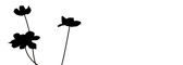 Idéal Productions